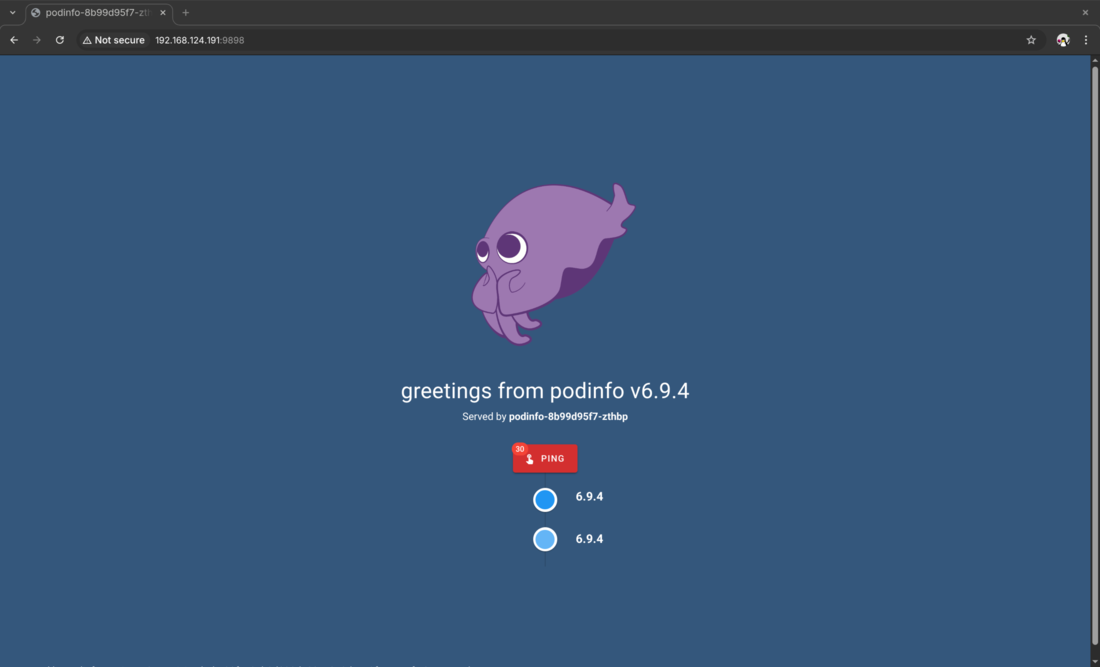 Podinfo application running