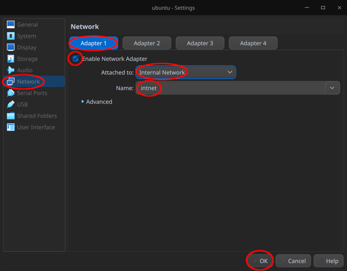 Enable "Adapter 1" and place it in internal network "intnet"