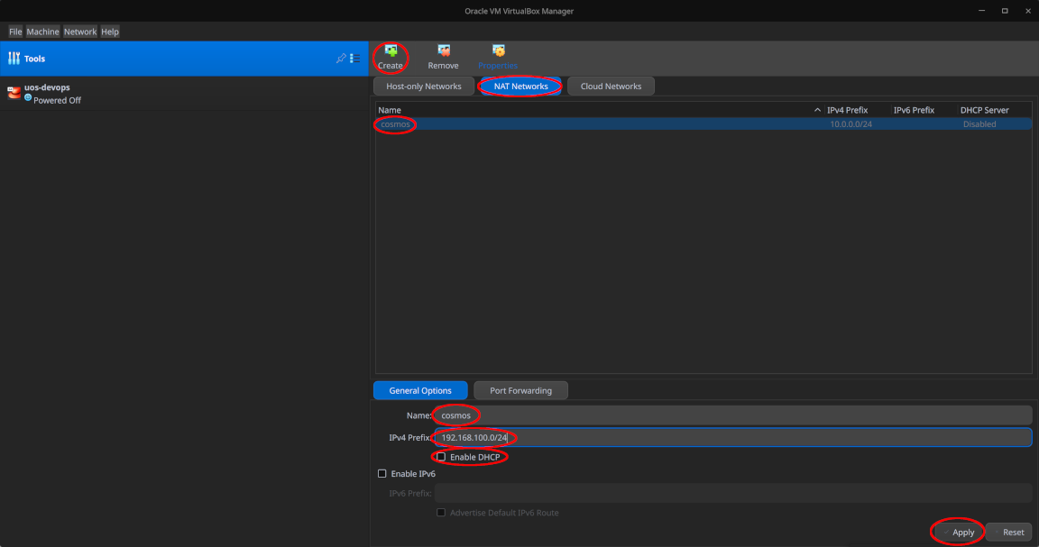 Create a new NAT network and fill in the details