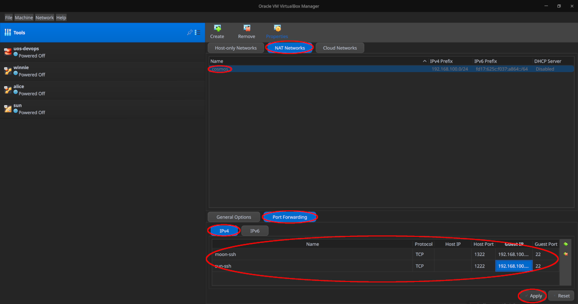 Set NAT port forwarding rules on the host level